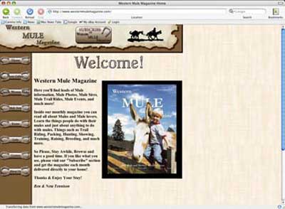 Western mule Web Design 